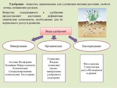 Увеличение биологической активности