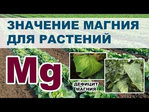 Химические и физические признаки дефицита