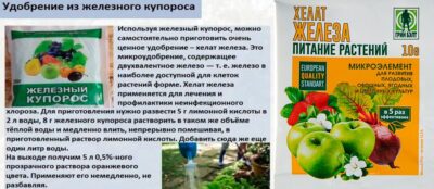 Сравнение различных источников железа для растений