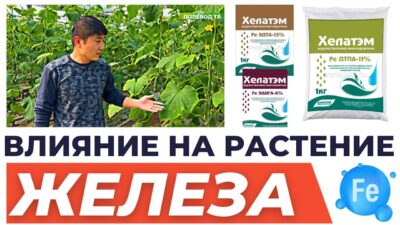 Отрицательное взаимодействие
