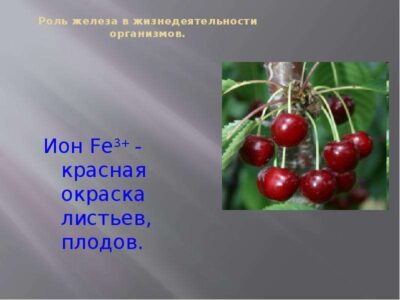 pH почвы