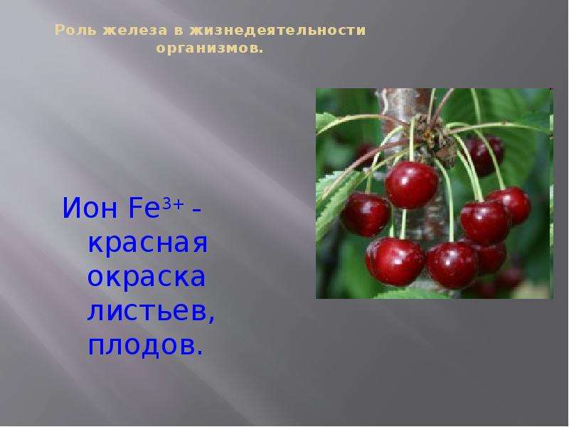 pH почвы