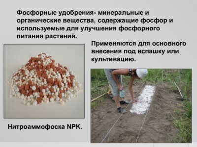Улучшение структуры почвы