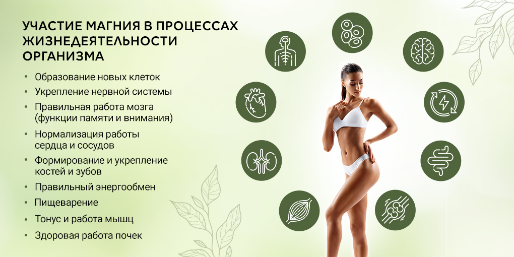 Экологические аспекты использования магния