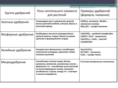 Современные исследования и практическое применение