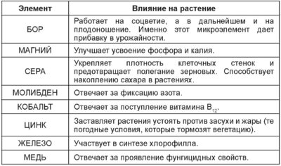 Влияние на почву и водные ресурсы