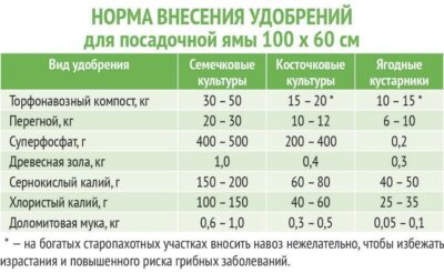 Мониторинг состояния растений после внесения железа