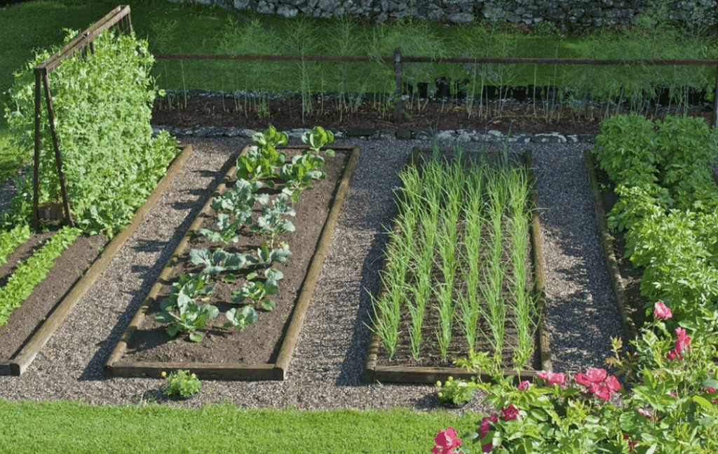 Что можно и нельзя добавлять в компост из травы и листьев