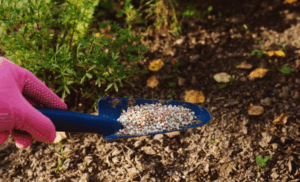 Фосфорные удобрения для стимуляции корневой системы Фосфорные удобрения для стимуляции корневой системы