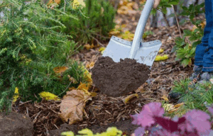 Фосфорные удобрения осенью Фосфорные удобрения осенью