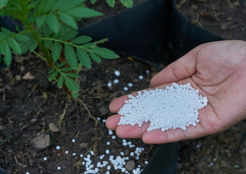 использовать мочевину (CO(NH₂)₂) при подкормке