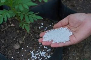 избежать передозировки калийной селитры (KNO₃)