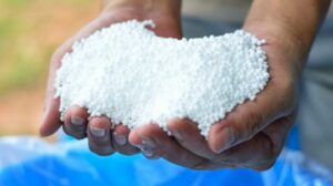 Как использовать мочевину (CO(NH₂)₂) для азотного питания растений