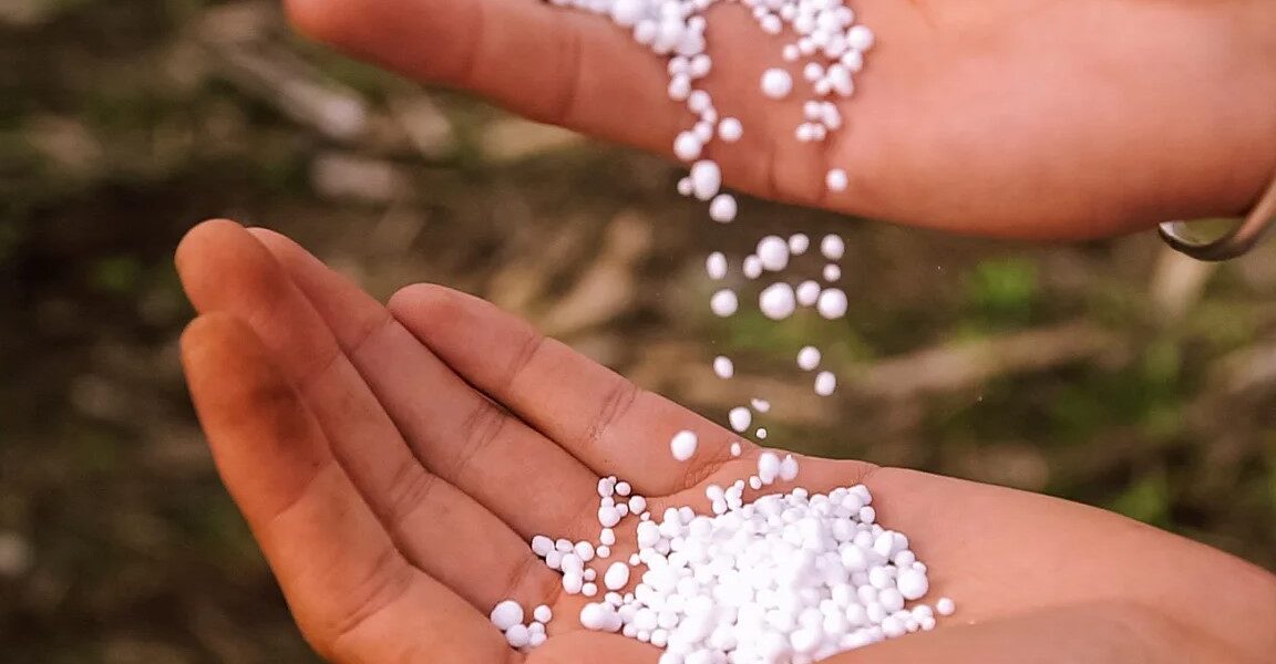 Как использовать мочевину (CO(NH₂)₂) на овощных культурах и зерновых