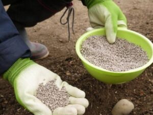 Как использовать мочевину (CO(NH₂)₂) при подкормке весной