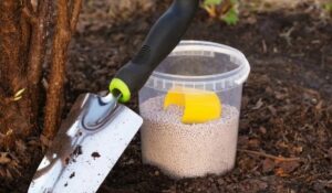 Как использовать мочевину (CO(NH₂)₂) при подкормке весной