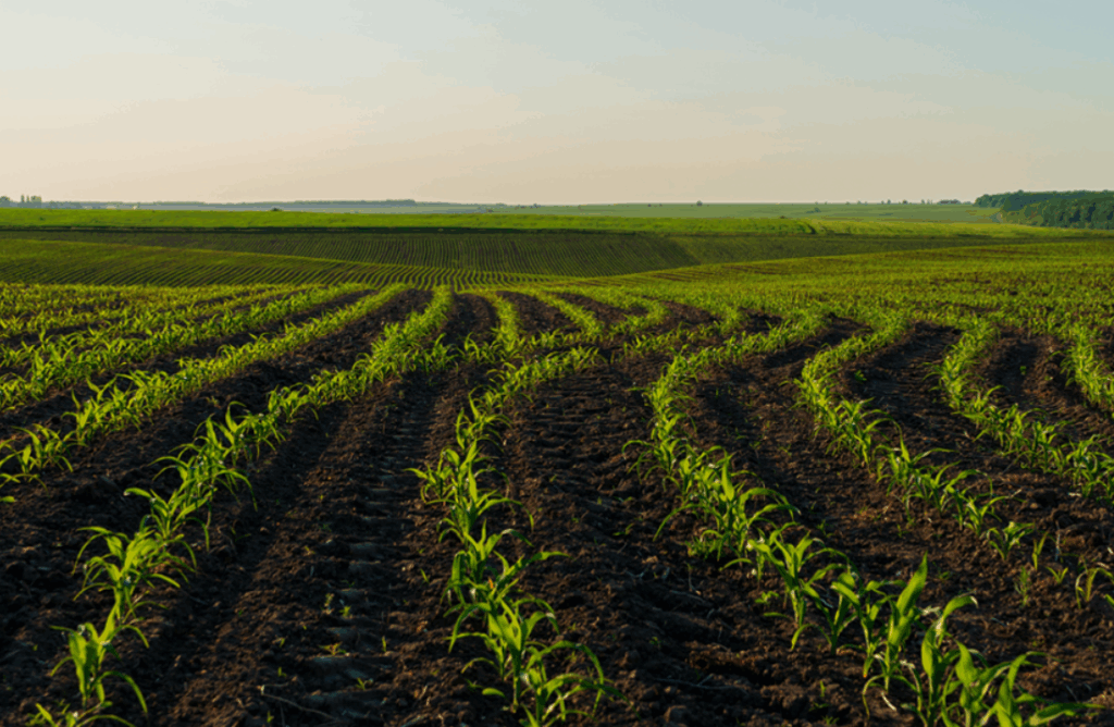 Как использовать моноаммонийфосфат (NH₄H₂PO₄) в баковых смесях с другими удобрениями