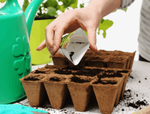 Как использовать смеси для овощных культур Как использовать смеси для овощных культур