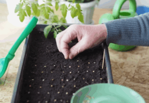 Как использовать смеси на разных стадиях роста растений