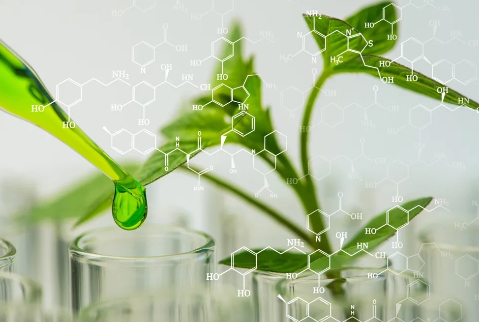 Как использовать смеси в открытом и закрытом грунте
