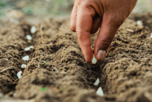 Как использовать смеси весной, летом и осенью