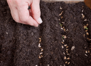 Как использовать смеси весной, летом и осенью