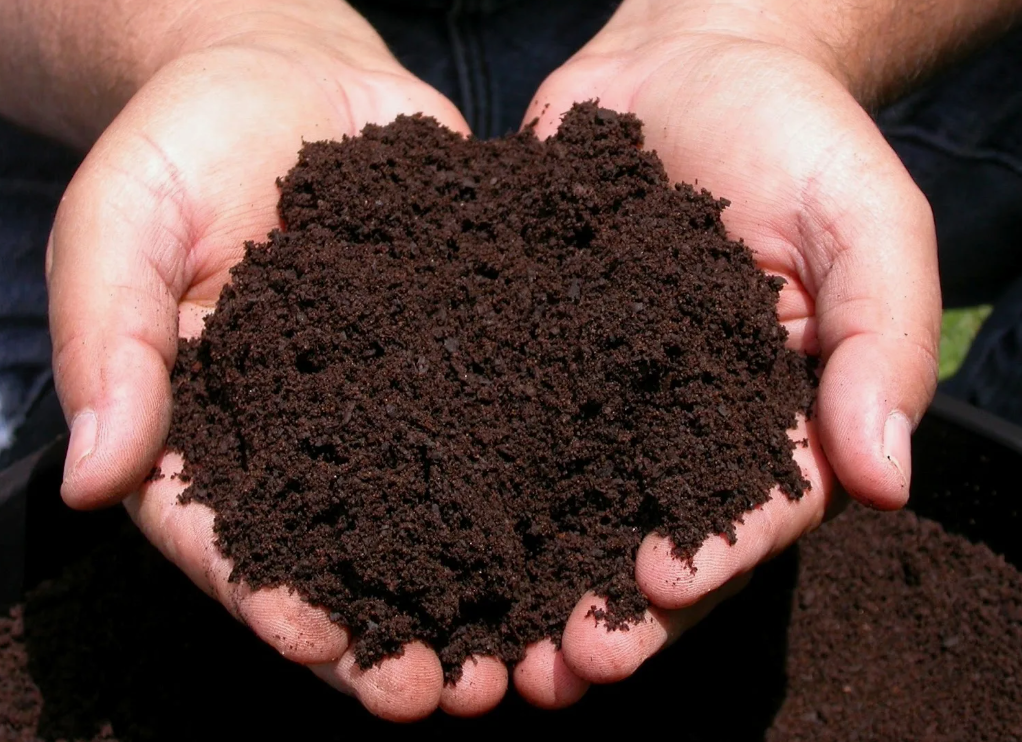 Как использовать торф для улучшения качества почвы