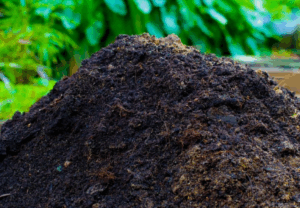 Как избежать негативных последствий от использования свиного навоза