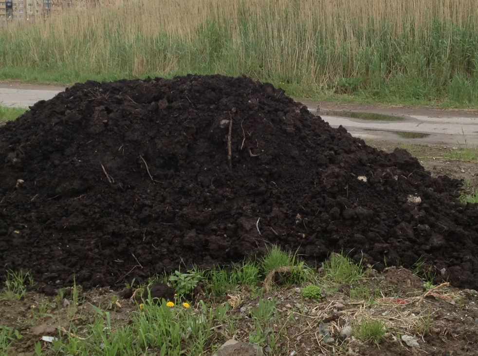 Как избежать негативных последствий от использования свиного навоза