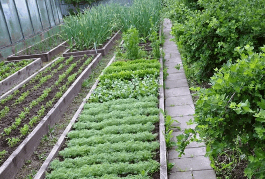 Как избежать неприятных запахов при компостировании травы и пищевых отходов