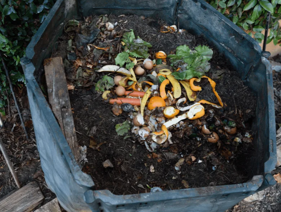 Как избежать ошибок при компостировании - советы экспертов