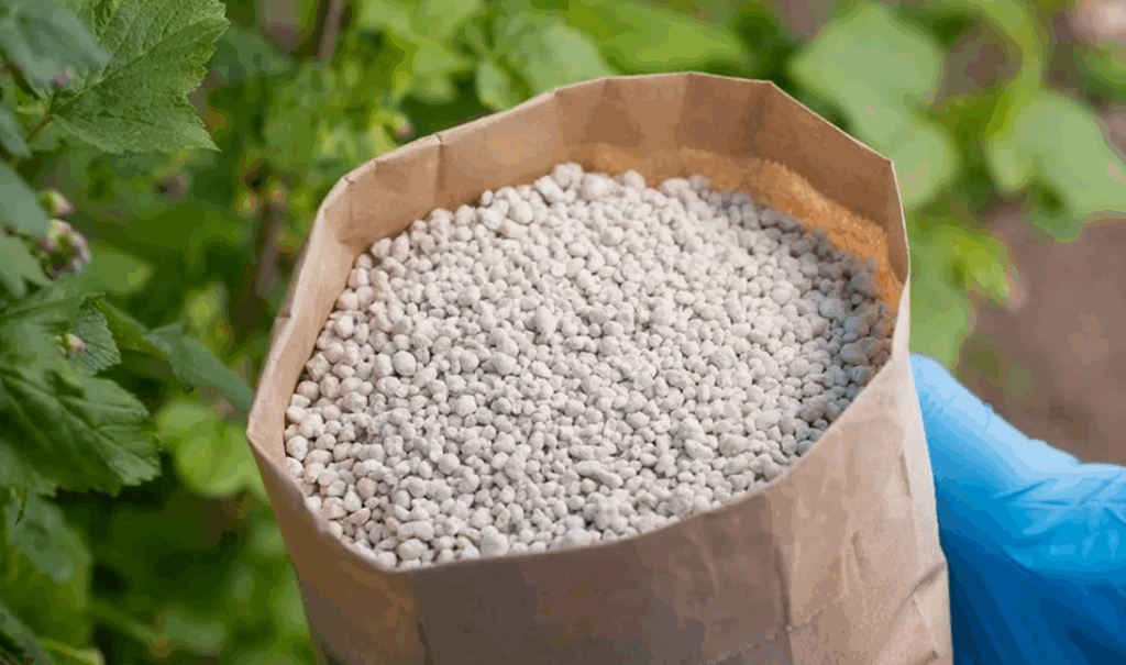 Как калий влияет на качество плодов и овощей