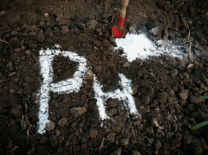 Как калийная селитра (KNO₃) влияет на кислотность почвы и какие меры следует предпринять для оптимизации pH