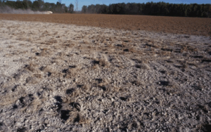 Как калийная селитра (KNO₃) влияет на кислотность почвы и какие меры следует предпринять для оптимизации pH