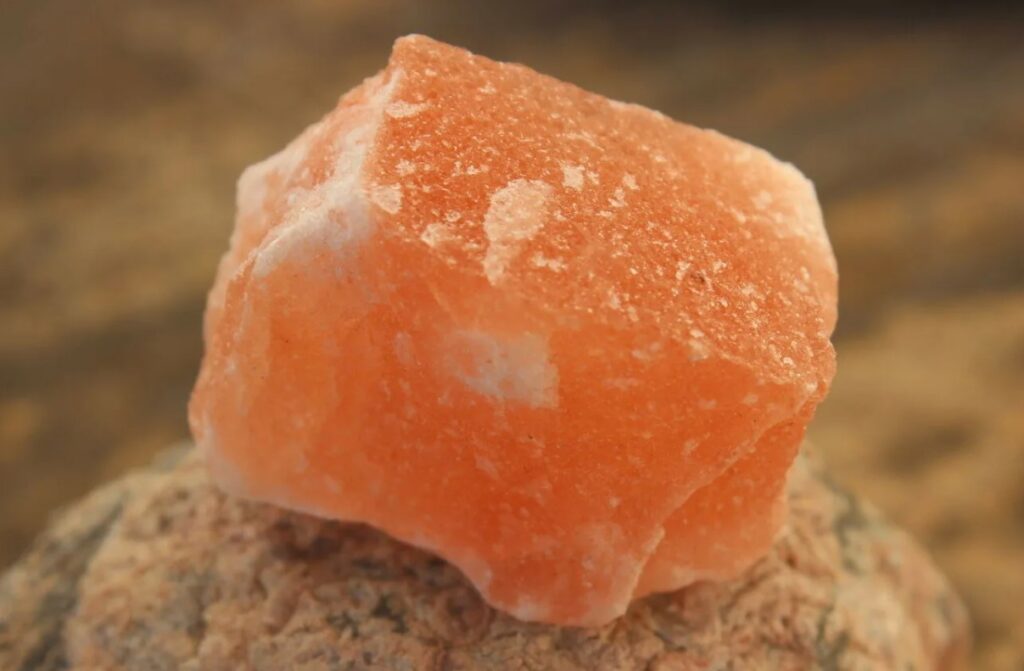 Как калийная соль (KCl) помогает в садоводстве - удобрение для деревьев, кустарников и цветов?