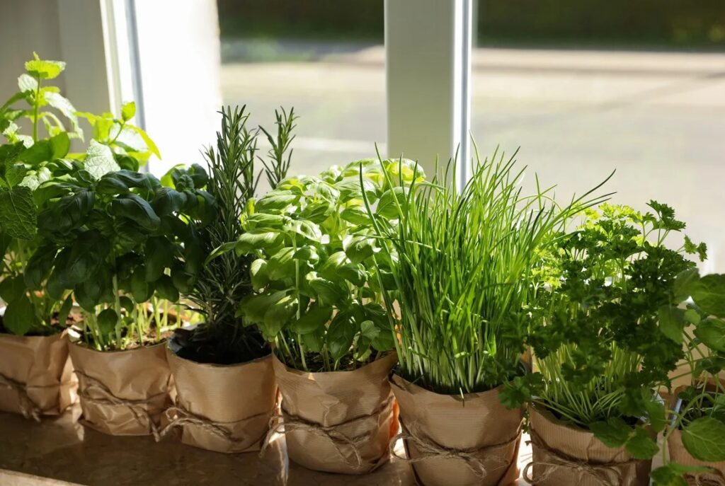 Как компост из травы и листьев помогает удерживать влагу в почве