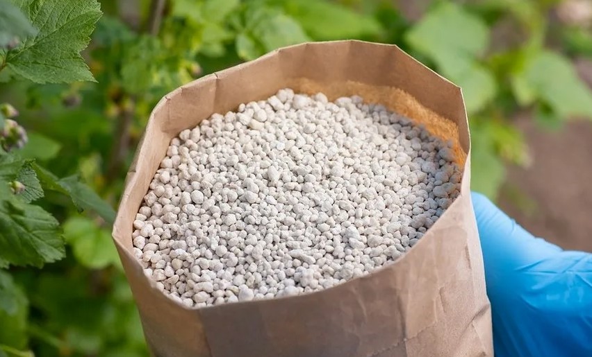 Как моноаммонийфосфат используется в качестве удобрения для улучшения плодородия почвы