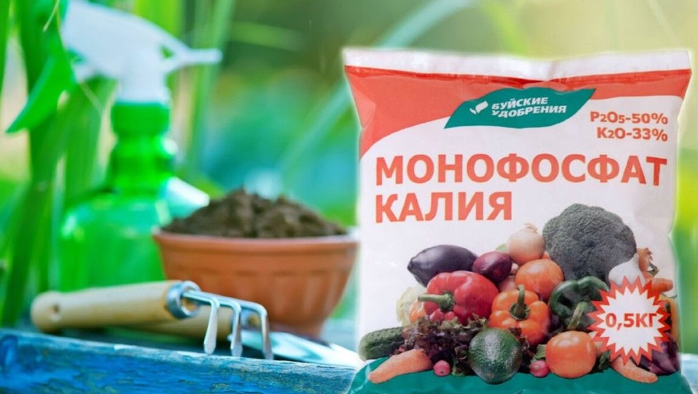 Как монофосфат калия влияет на развитие корневой системы
