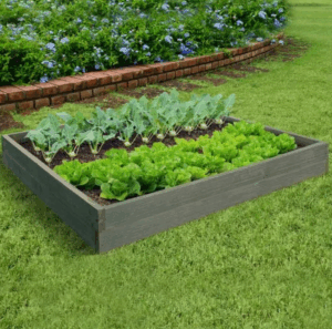 Как навоз помогает бороться с нехваткой азота в почве