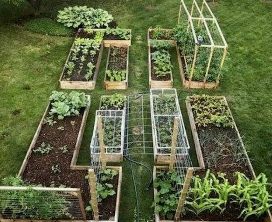 Как навоз помогает бороться с нехваткой азота в почве