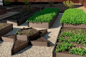 Как навоз улучшает структуру почвы