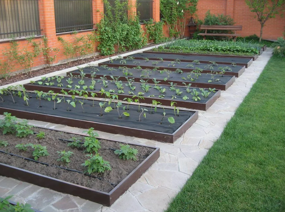 Как навоз улучшает структуру почвы