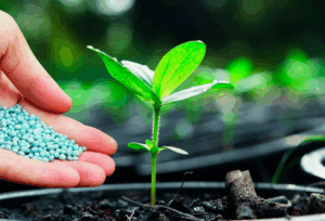 Как НПК удобрения помогают оптимизировать плодородие почвы