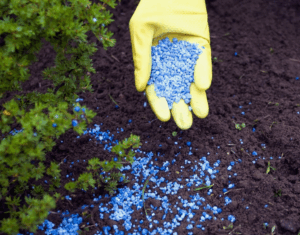 Как правильно дозировать НПК удобрения