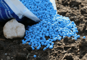 Как правильно дозировать НПК удобрения