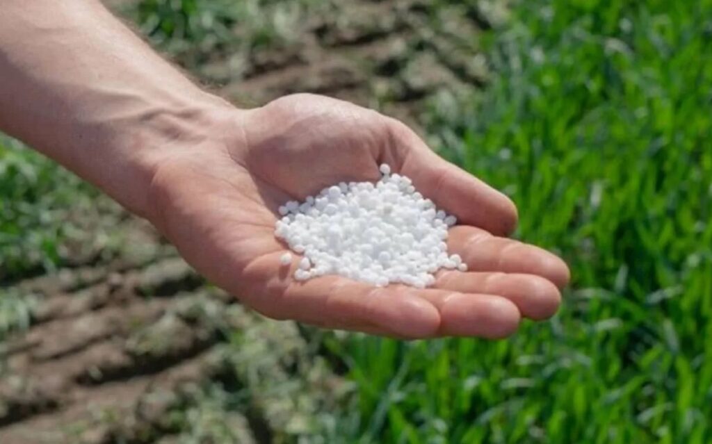 Как правильно использовать калийную селитру (KNO₃) для повышения урожайности