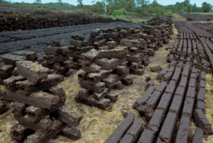 Как правильно вносить торф в почву