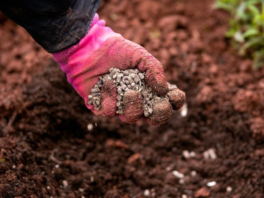 Как птичий навоз помогает повысить уровень азота в почве