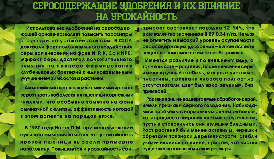 Как определить дефицит питательных веществ в почве