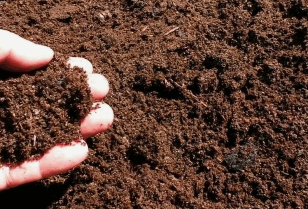 Как свиной навоз помогает бороться с недостатком азота в почве